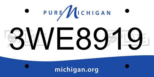 3WE8919 Michigan License Plate