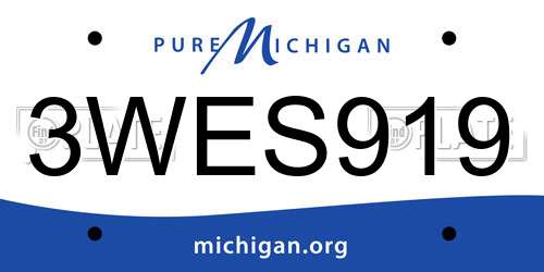 3WES919 Michigan License Plate