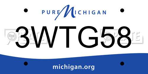 3WTG58 Michigan License Plate