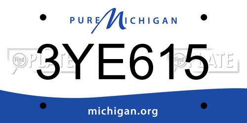 3YE615 Michigan License Plate