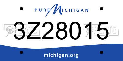 3Z28015 Michigan License Plate