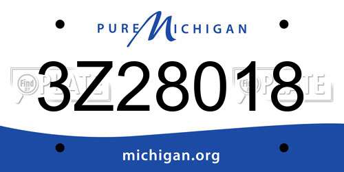 3Z28018 Michigan License Plate