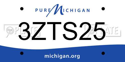 3ZTS25 Michigan License Plate
