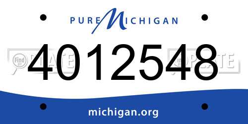 4012548 Michigan License Plate
