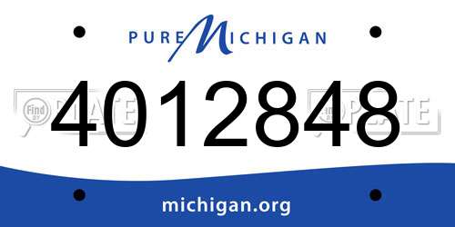 4012848 Michigan License Plate