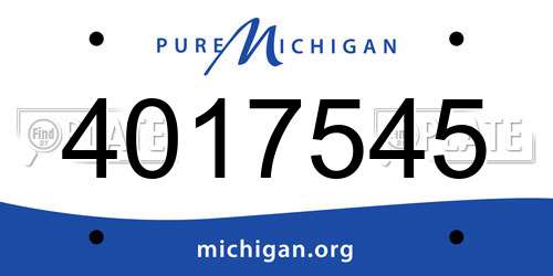 4017545 Michigan License Plate