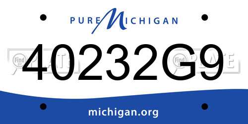 40232G9 Michigan License Plate
