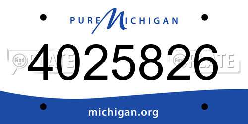 4025826 Michigan License Plate