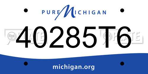 40285T6 Michigan License Plate