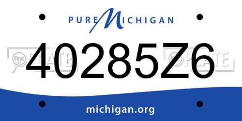 40285Z6 Michigan License Plate