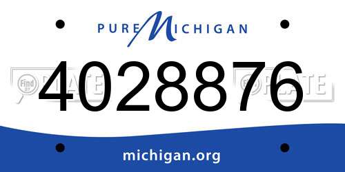 4028876 Michigan License Plate