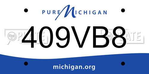 409VB8 Michigan License Plate