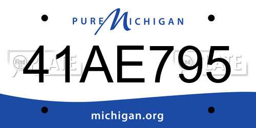 41AE795 Michigan License Plate