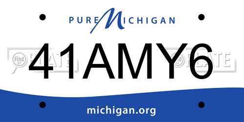 41AMY6 Michigan License Plate