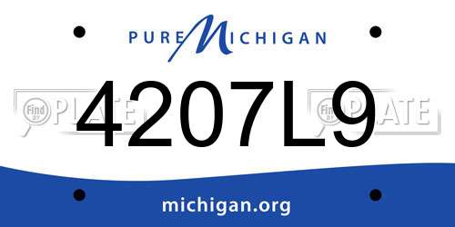 4207L9 Michigan License Plate