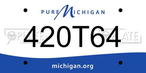 420T64 Michigan License Plate