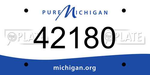 42180 Michigan License Plate