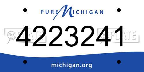 4223241 Michigan License Plate