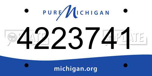 4223741 Michigan License Plate