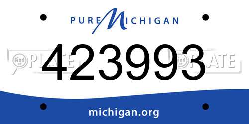 423993 Michigan License Plate