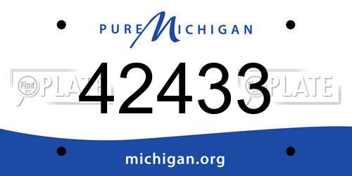 42433 Michigan License Plate