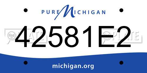 42581E2 Michigan License Plate