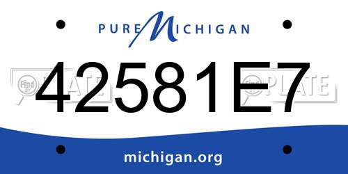 42581E7 Michigan License Plate