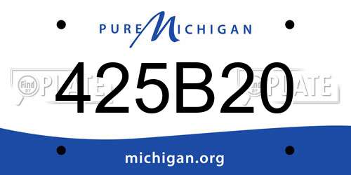 425B20 Michigan License Plate