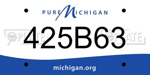 425B63 Michigan License Plate
