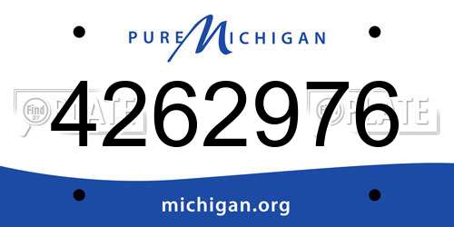 4262976 Michigan License Plate