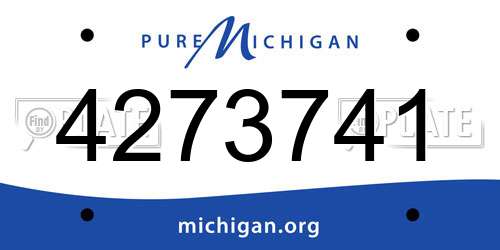 4273741 Michigan License Plate
