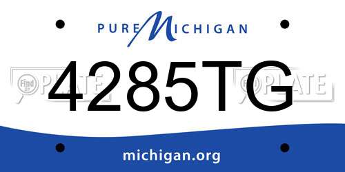 4285TG Michigan License Plate
