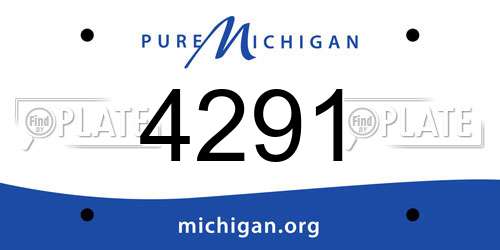4291 Michigan License Plate