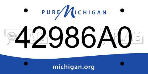 42986A0 Michigan License Plate