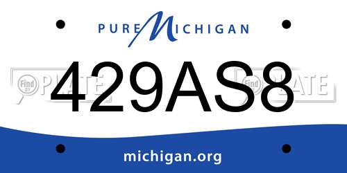429AS8 Michigan License Plate