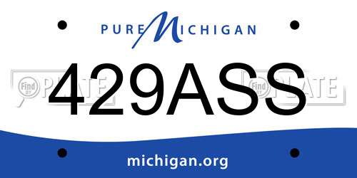 429ASS Michigan License Plate