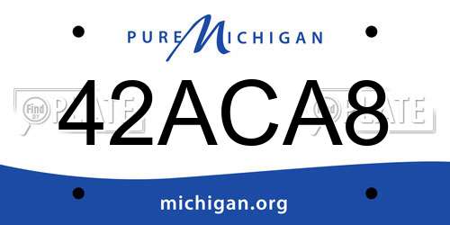42ACA8 Michigan License Plate