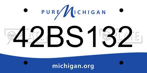 42BS132 Michigan License Plate