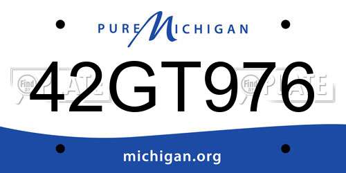 42GT976 Michigan License Plate