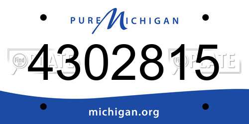 4302815 Michigan License Plate