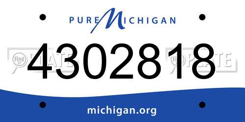 4302818 Michigan License Plate