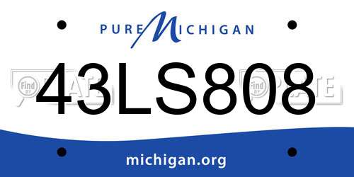 43LS808 Michigan License Plate