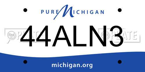 44ALN3 Michigan License Plate