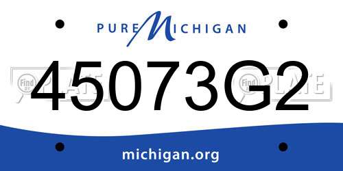 45073G2 Michigan License Plate