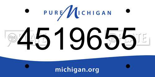 4519655 Michigan License Plate