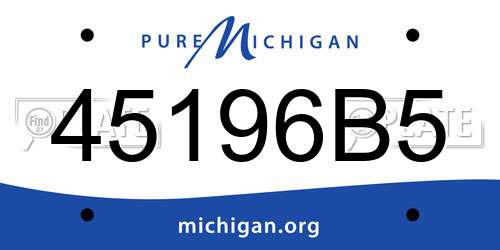 45196B5 Michigan License Plate
