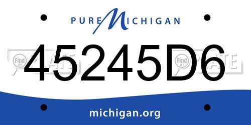 45245D6 Michigan License Plate