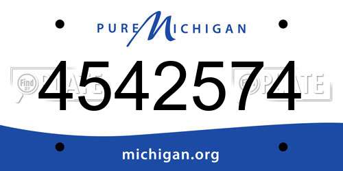 4542574 Michigan License Plate