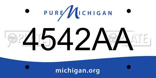 4542AA Michigan License Plate