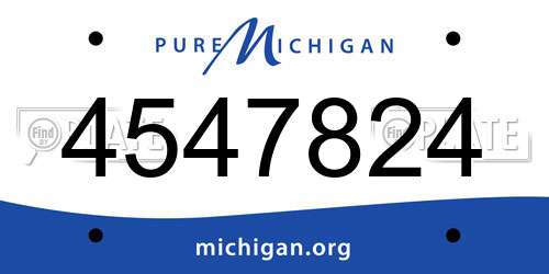 4547824 Michigan License Plate